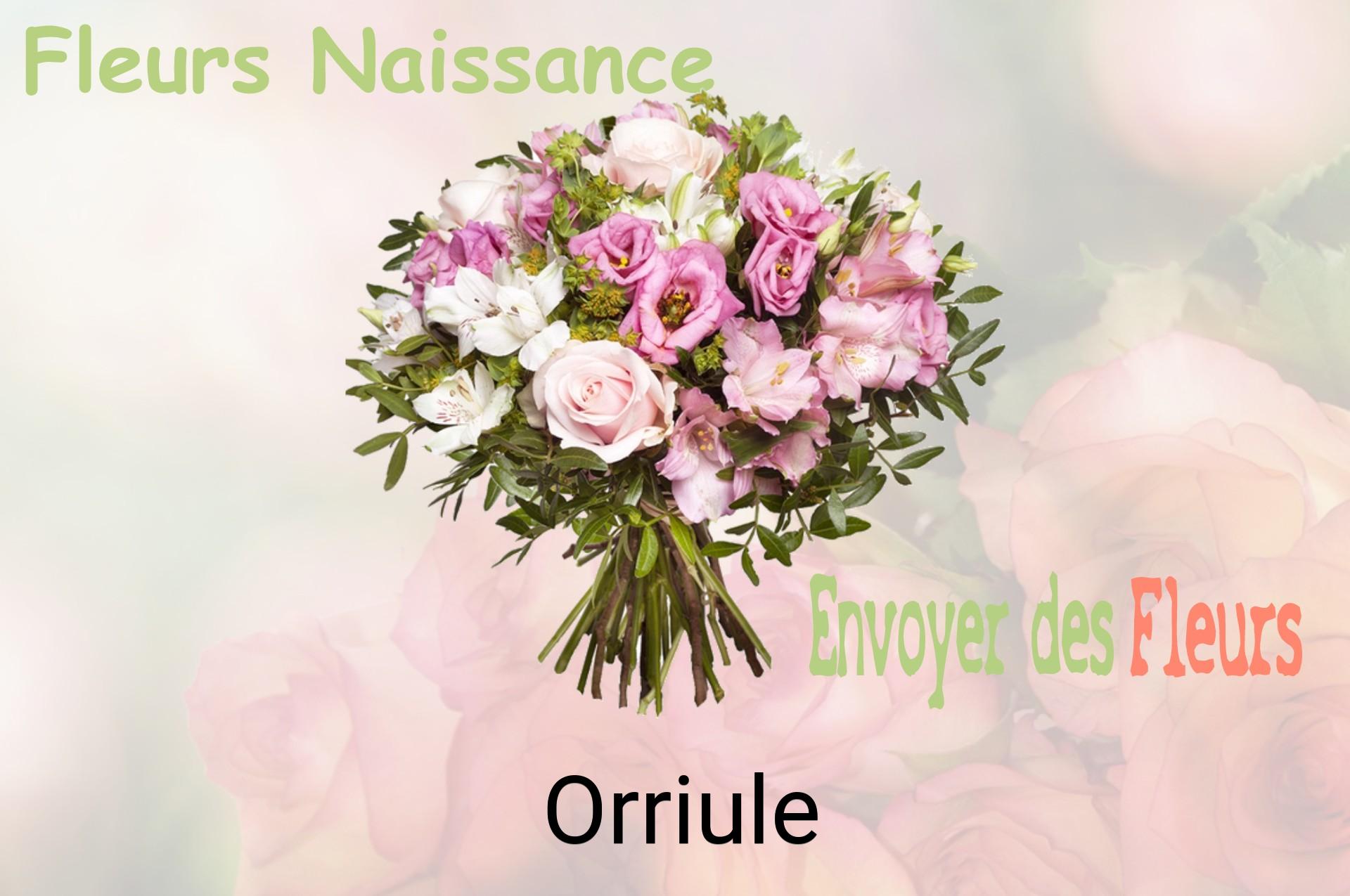 Bouquet de fleurs de naissance livré à Orriule